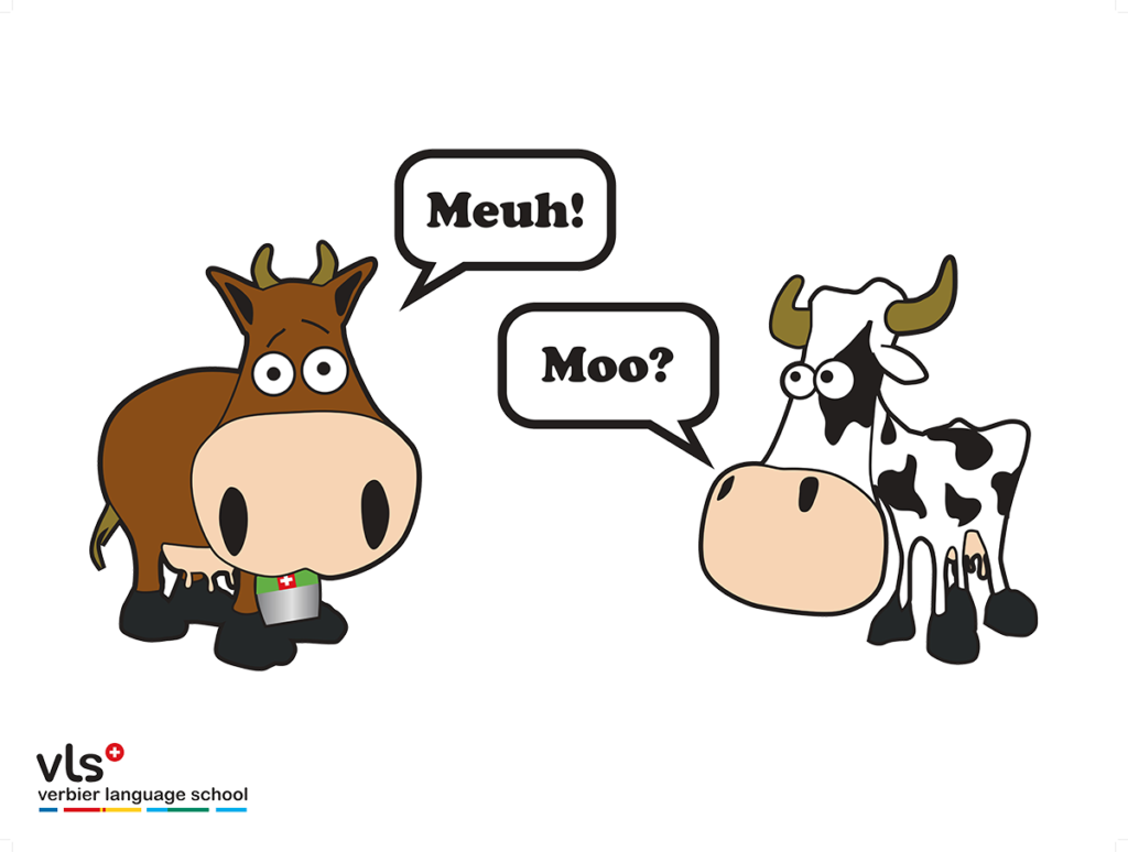 Medium Cow Verbier Language School